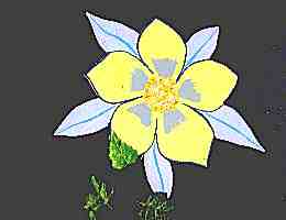 Columbine Flower