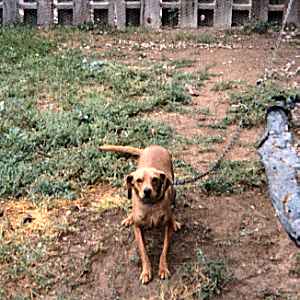 Livin in the back yard